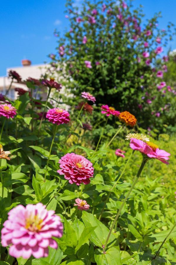 Apartment Garden M&M Dubrovnik Bagian luar foto